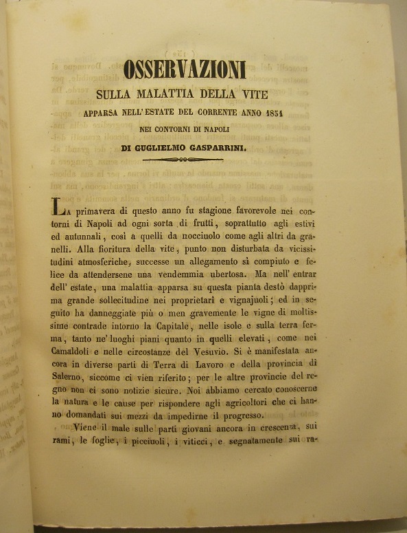 Osservazioni sulla malattia della vite apparsa nell'estate del corrente anno 1851 nei dintorni di Napoli
